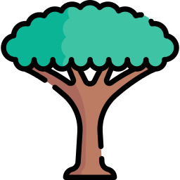 drachenbaum icon