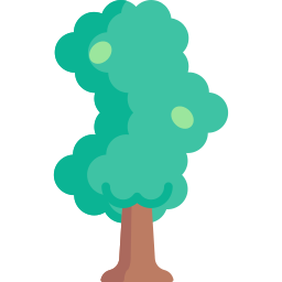 Alder icon