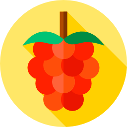 framboise Icône