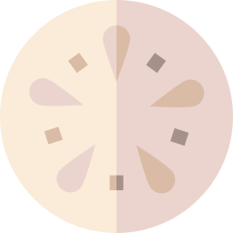 Shell icon