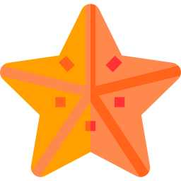 Starfish icon