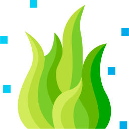 Algae icon