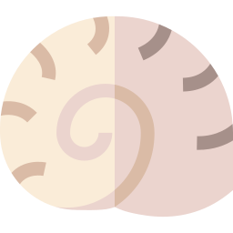 Conch icon