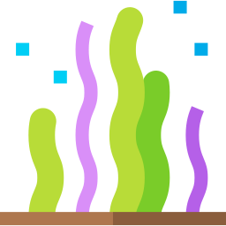 Algae icon