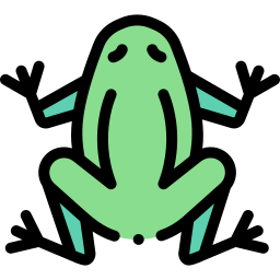 Frog icon