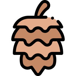 Pine cone icon