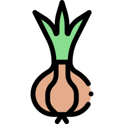 Onion icon