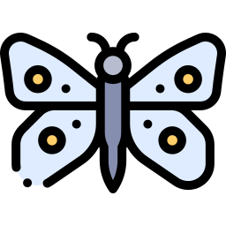 schmetterling icon