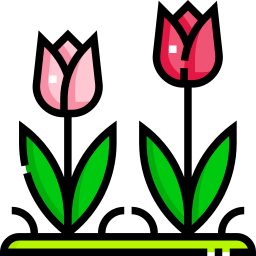 tulpe icon