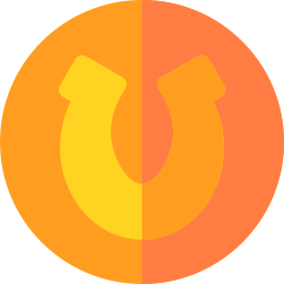 Coin icon