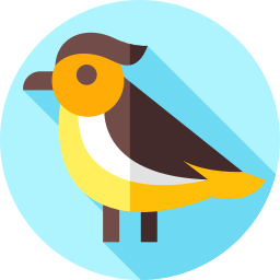 Bird icon