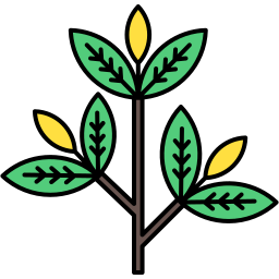 Branch icon