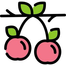 Cherries icon