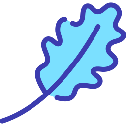 Leaf icon