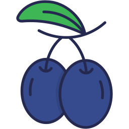 Plum icon