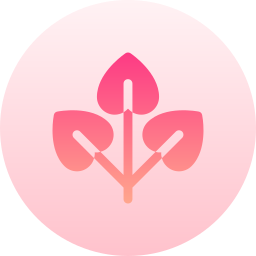 oregano icon