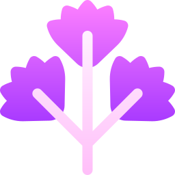 Parsley icon