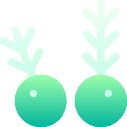 Juniper icon