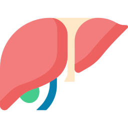 Liver icon