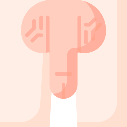 Penis icon