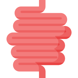 Intestine icon