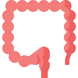 Colon icon