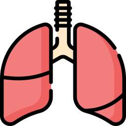 poumons Icône