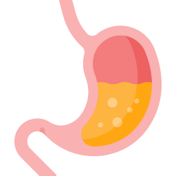 Stomach icon