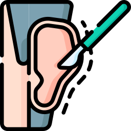 Otoplasty icon