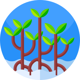 Mangrove icon