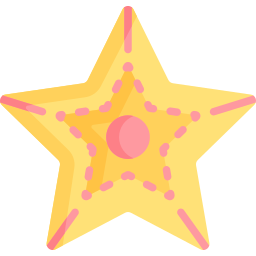 Starfish icon