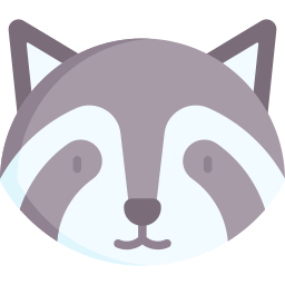 Raccoon icon