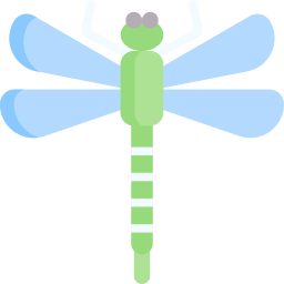 Dragonfly icon