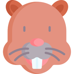 Beaver icon