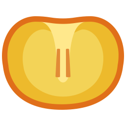 persimmon icon