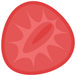 erdbeeren icon