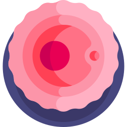 ovule Icône