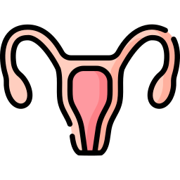 Reproductive system icon