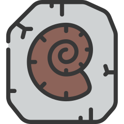 fossil icon