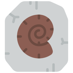 fossil icon