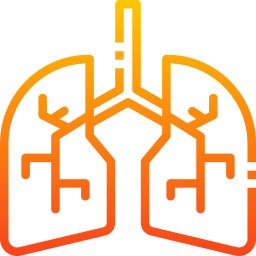 Lungs icon