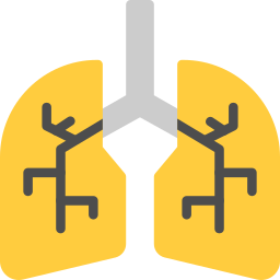 Lungs icon