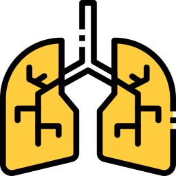 Lungs icon