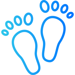 Footprint icon