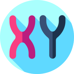 Chromosome icon