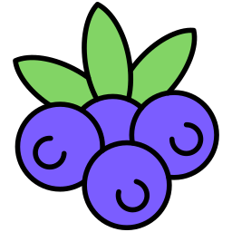 Berry icon