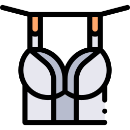 Brassiere icon