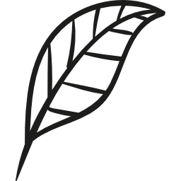 Plant Leaf Garden icon