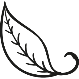 Leaf icon