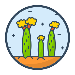 Cactus icon